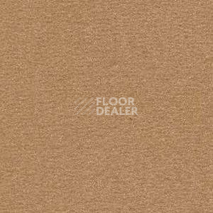 Ковролин Radici Nexus Gazzella 8203 фото 1 | FLOORDEALER